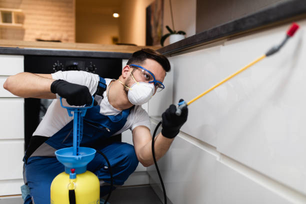 Best Exterminator Services  in Parkville, MO