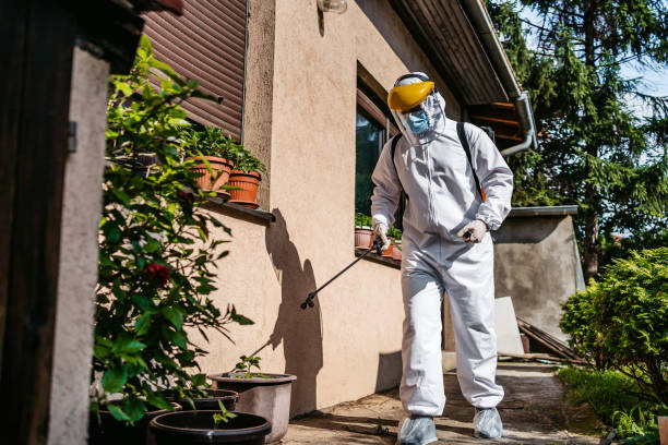 Best Insect Control  in Parkville, MO
