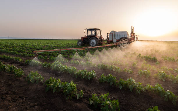 Best Mosquito Control Services  in Parkville, MO