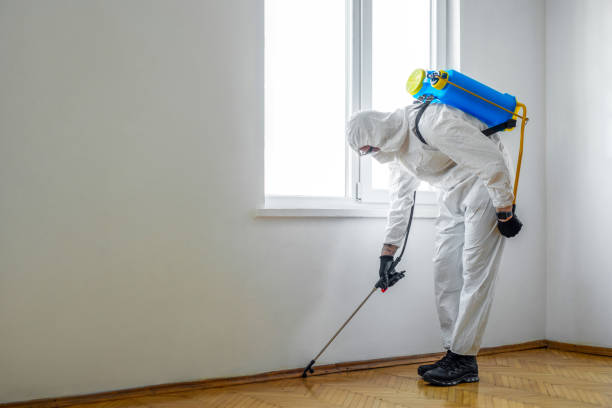 Best Wasp Removal Services  in Parkville, MO