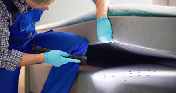 Best Exterminator Services  in Parkville, MO