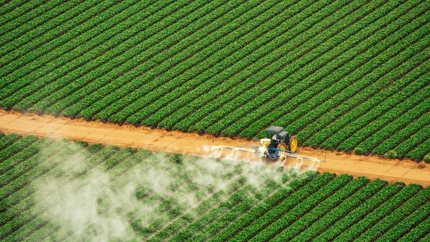 Best Pest Removal Services  in Parkville, MO