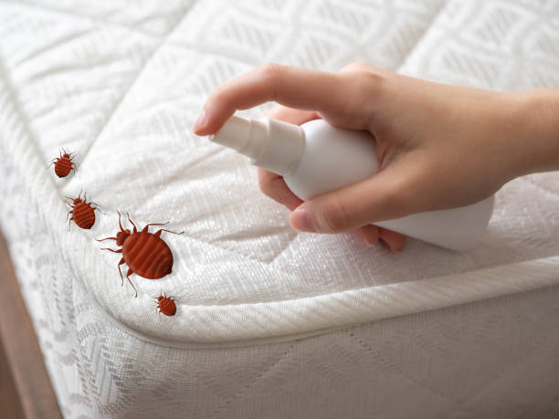 Best Pest Control Near Me in Parkville, MO